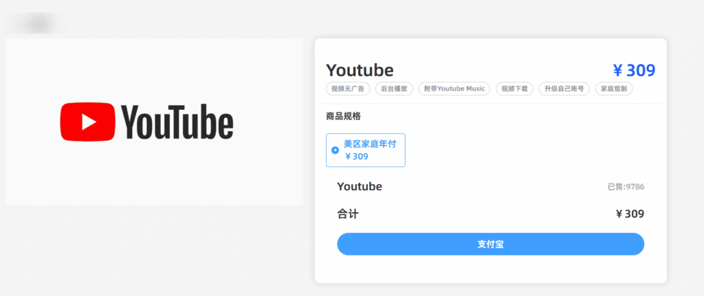 YouTube合租平台四：飞行派